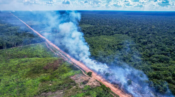 governo-cria-de-grupo-de-estudo-da-br-319-sem-ibama-e-ministerio-do-meio-ambiente