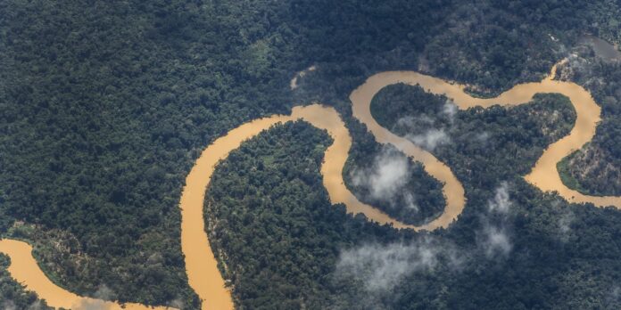 noruega-anuncia-mais-r$-245-milhoes-para-o-fundo-amazonia noruega-anuncia-mais-r$-245-milhoes-para-o-fundo-amazonia