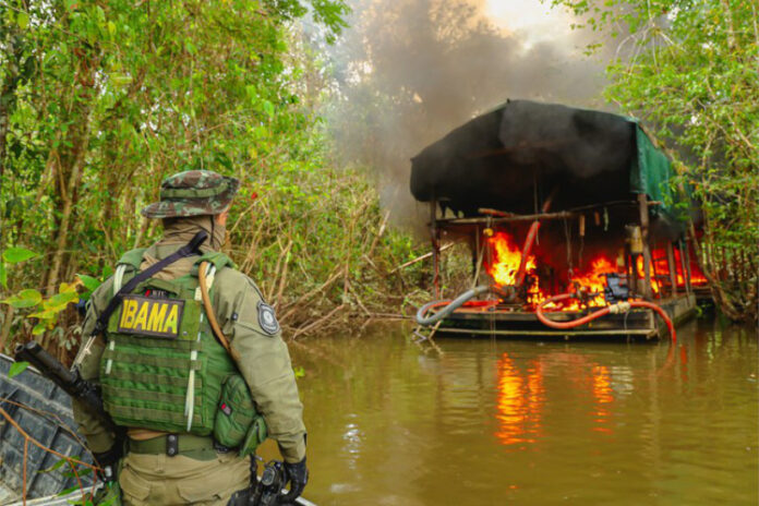 com-paralisacao-de-servidores-do-ibama,-emissao-de-multas-na-amazonia-cai-quase-93%