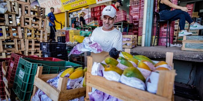 conab-registra-queda-de-precos-da-alface-em-dezembro