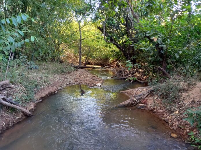 palmas-deve-ganhar-novo-parque-com-execucao-de-projeto-de-revitalizacao-do-corrego-machado