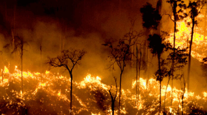 queimadas-disparam-no-brasil-e-fogo-na-amazonia-bate-recorde