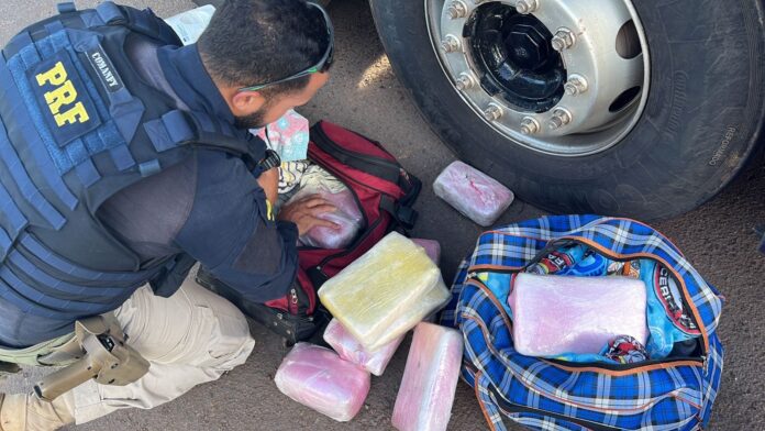 policia-apreende-mais-de-18-kg-de-drogas-em-bagageiro-de-onibus