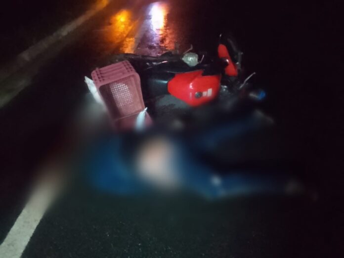 motociclista-morre-apos-bater-em-capivara-na-br-242