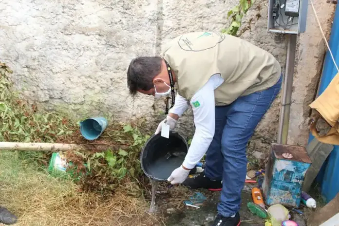 crescimento-da-dengue-esta-relacionado-com-desmatamento-e-crise-climatica,-diz-estudo-da-fiocruz