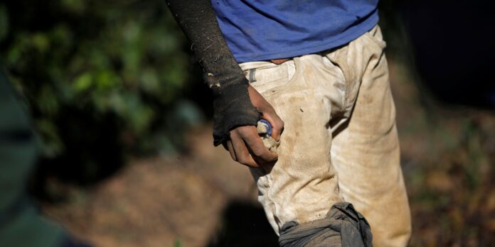 oit:-lucros-anuais-do-trabalho-forcado-chegam-a-us$-236-bilhoes-ao-ano
