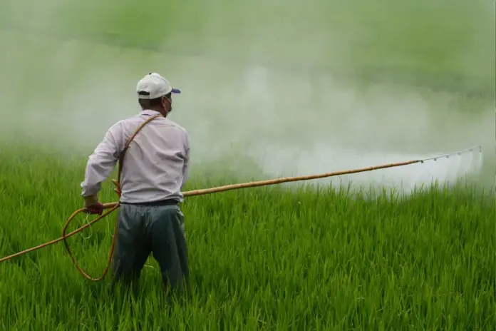 pantanal-contaminado-por-agrotoxico-cancerigeno-e-ameacado-por-seca pantanal-contaminado-por-agrotoxico-cancerigeno-e-ameacado-por-seca
