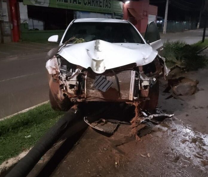 carro-perde-o-controle,-invade-canteiro-e-derruba-coqueiros-em-avenida;-veja-video carro-perde-o-controle,-invade-canteiro-e-derruba-coqueiros-em-avenida;-veja-video