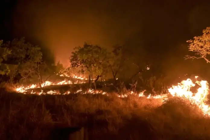 incendios-em-areas-de-floresta-madura-da-amazonia-cresceram-152%-em-2023