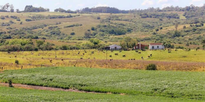 pampa-e-o-bioma-brasileiro-menos-protegido-por-unidades-de-conservacao