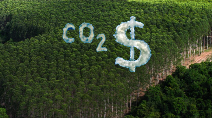 estados-amazonicos-se-antecipam-a-congresso-e-negociam-creditos-de-carbono estados-amazonicos-se-antecipam-a-congresso-e-negociam-creditos-de-carbono