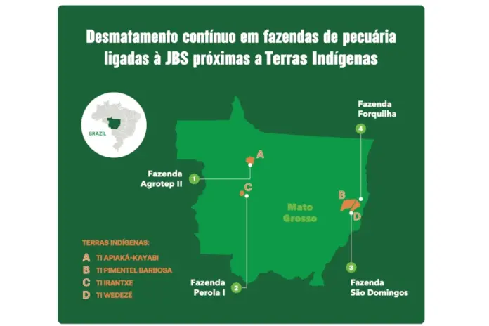 falta-de-acao-da-jbs-faz-desmatamento-aumentar-em-fazendas-de-gado-na-amazonia-e-no-cerrado