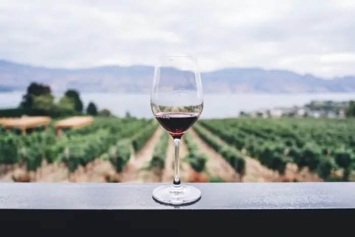 mudanca-do-clima-pode-modificar-“profundamente”-a-producao-global-de-vinho,-diz-estudo