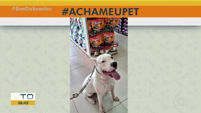videos:-bom-dia-tocantins-de-quarta-feira,-1o-de-maio-de-2024 videos:-bom-dia-tocantins-de-quarta-feira,-1o-de-maio-de-2024