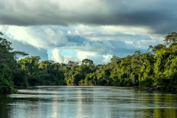 justica-do-mato-grosso-barra-pela-2a-vez-parque-estadual-em-area-ameacada-por-desmatamento