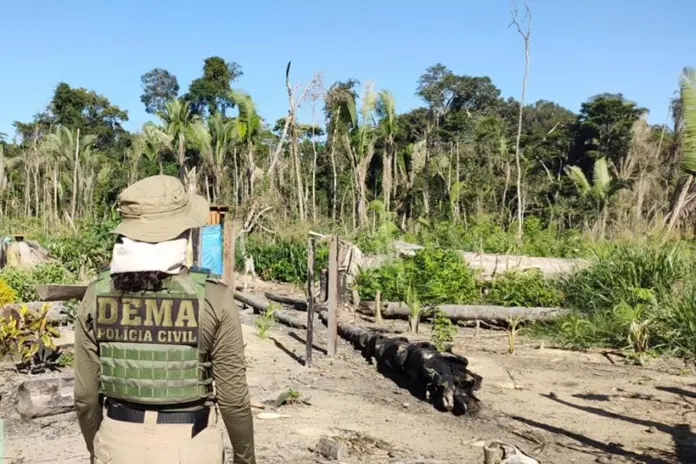 fazendeiro-que-pulverizou-agrotoxicos-no-pantanal-teve-financiamento-do-bb