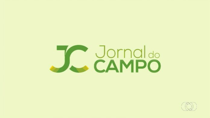 videos:-jornal-do-campo-to-de-domingo,-26-de-maio-de-2024