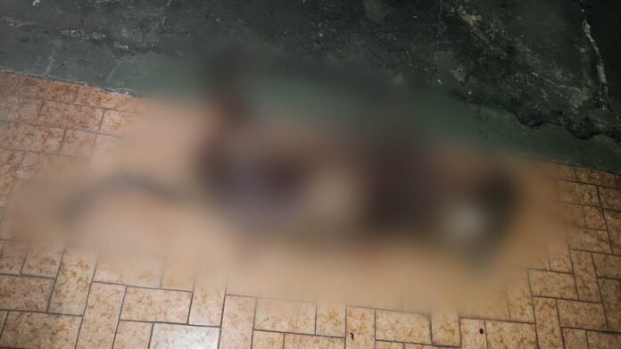 cadela-pitbull-e-morta-apos-atacar-mulher-e-policia-investiga-maus-tratos