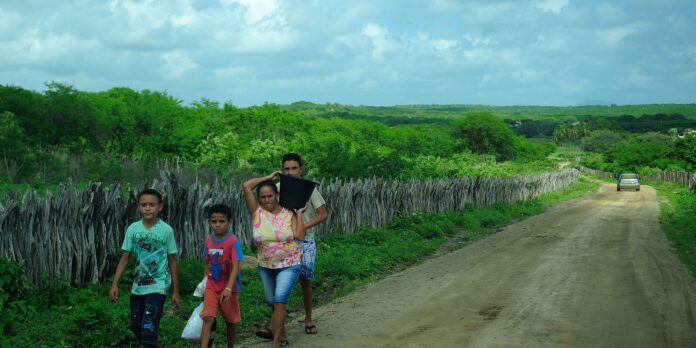familias-em-risco-podem-receber-fomento-rural-mais-de-uma-vez familias-em-risco-podem-receber-fomento-rural-mais-de-uma-vez