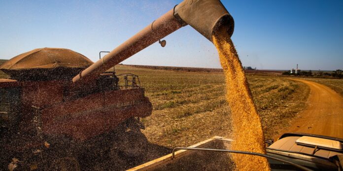brasil-colhera-297,5-milhoes-de-toneladas-de-graos,-estima-a-conab brasil-colhera-297,5-milhoes-de-toneladas-de-graos,-estima-a-conab