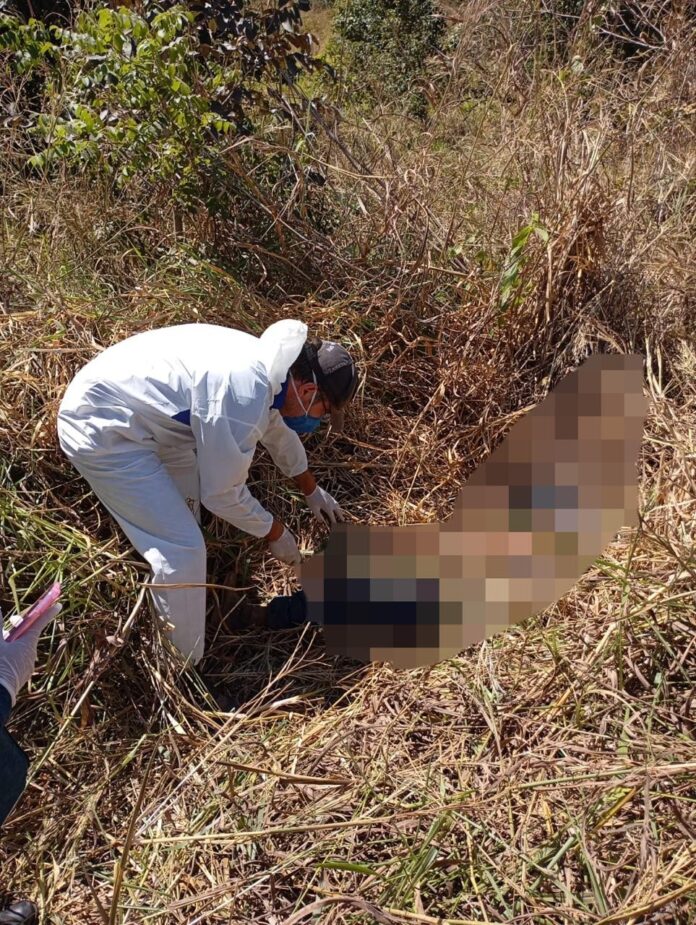 homem-desaparece-apos-sair-de-casa-e-e-encontrado-morto-as-margens-da-to-222 homem-desaparece-apos-sair-de-casa-e-e-encontrado-morto-as-margens-da-to-222