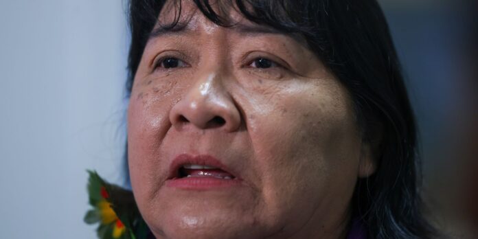 funai-defende-continuidade-de-acoes-na-terra-yanomami