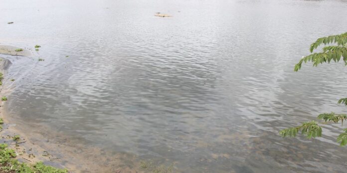 ufrj-desenvolve-teste-rapido-para-detectar-agua-contaminada