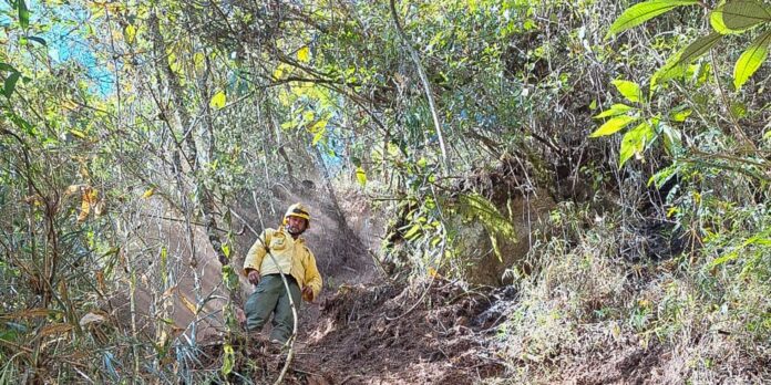 apos-oito-dias,-incendio-no-parque-nacional-do-itatiaia-e-extinto
