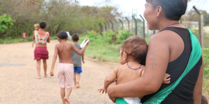 conab-faz-leiloes-para-compra-de-cestas-de-alimentos-para-os-yanomami