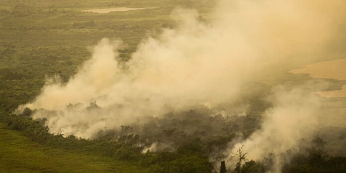 fab-faz-tres-voos-hoje-sobre-o-pantanal-para-combate-as-queimadas