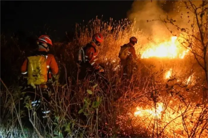 pantanal-em-chamas:-bioma-registra-1-incendio-a-cada-15-minutos-em-junho