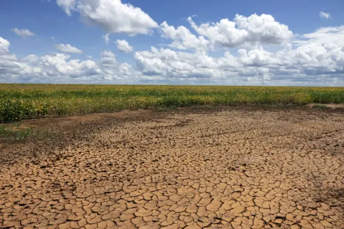cerrado-enfrenta-a-pior-seca-em-pelo-menos-700-anos