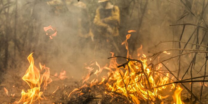 focos-de-incendio-no-pantanal-estao-sob-investigacao-da-pf,-diz-marina focos-de-incendio-no-pantanal-estao-sob-investigacao-da-pf,-diz-marina