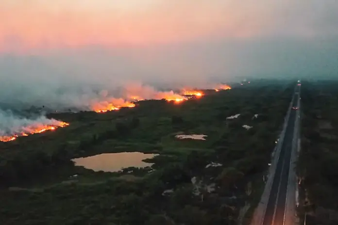 pantanal-em-chamas:-incendios-podem-ter-sido-provocados-intencionalmente