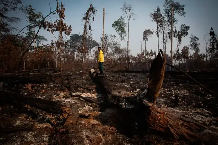 incendios-na-amazonia-batem-recorde-para-um-1o-semestre-em-20-anos incendios-na-amazonia-batem-recorde-para-um-1o-semestre-em-20-anos