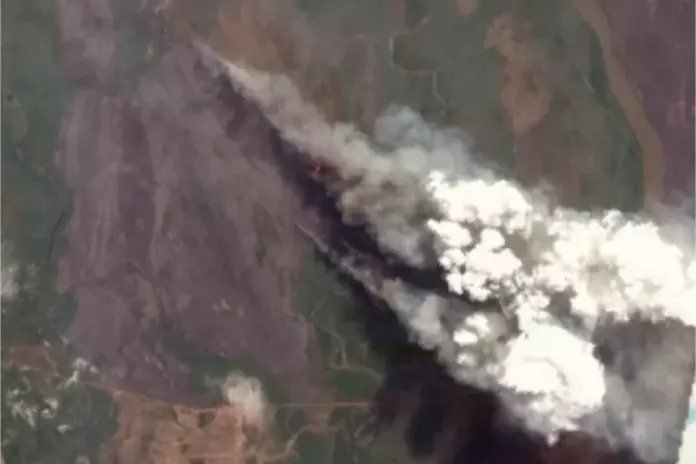 pantanal-em-chamas-2:-incendios-ameacam-modos-de-vida-dos-“guardioes”-do-bioma pantanal-em-chamas-2:-incendios-ameacam-modos-de-vida-dos-“guardioes”-do-bioma