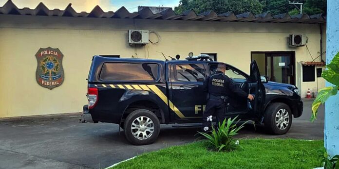 pf-inicia-operacao-contra-trafico-internacional-de-animais-silvestres