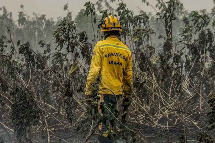 pantanal-em-chamas:-incendios-consumiram-5%-de-todo-o-bioma