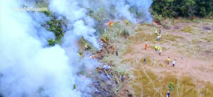 autorizacoes-para-uso-do-fogo-estao-suspensas-ate-outubro-para-evitar-incendios-florestais autorizacoes-para-uso-do-fogo-estao-suspensas-ate-outubro-para-evitar-incendios-florestais
