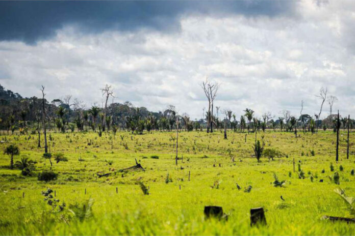 justica-bloqueia-quase-r$-300-milhoes-de-pecuarista-acusado-de-desmatamento-na-amazonia justica-bloqueia-quase-r$-300-milhoes-de-pecuarista-acusado-de-desmatamento-na-amazonia