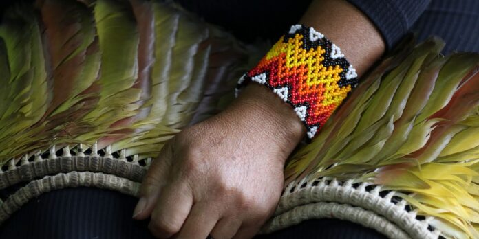 numero-de-indigenas-assassinados-em-2023-chega-a-208,-informa-cimi numero-de-indigenas-assassinados-em-2023-chega-a-208,-informa-cimi