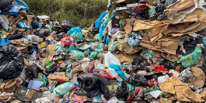 nova-plataforma-brasileira-permite-rastrear-a-reutilizacao-de-plastico nova-plataforma-brasileira-permite-rastrear-a-reutilizacao-de-plastico