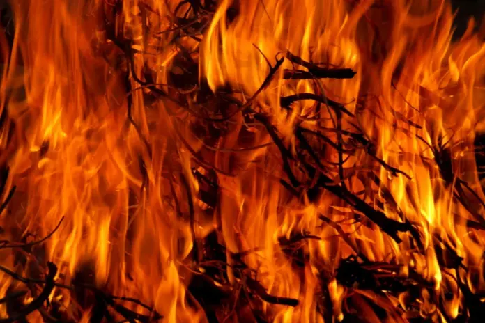 park-fire:-incendio-avanca-para-ser-um-dos-maiores-da-historia-da-california
