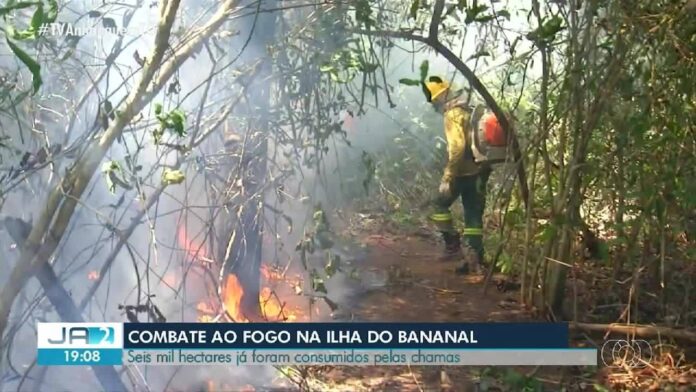 videos:-jornal-anhanguera-2a-edicao-to-de-sabado,-3-de-agosto-de-2024