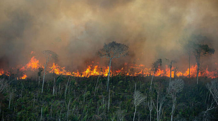 mudancas-climaticas-aumentam-chance-de-incendio-florestal-em-20-vezes-na-amazonia