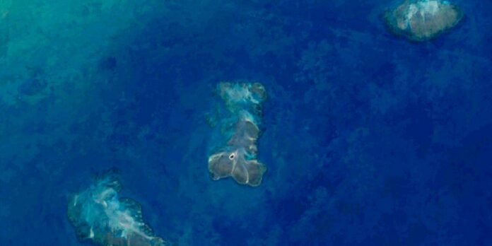pesquisa-aponta-20,4-mil-hectares-de-recifes-de-coral-na-costa-do-pais