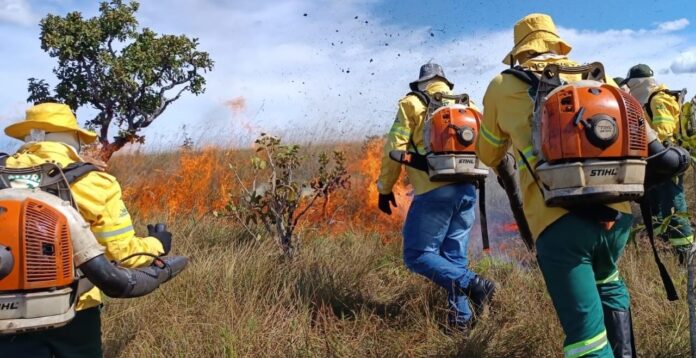 tocantins-registra-mais-de-1,6-mil-focos-de-queimadas-em-agosto,-aponta-monitoramento