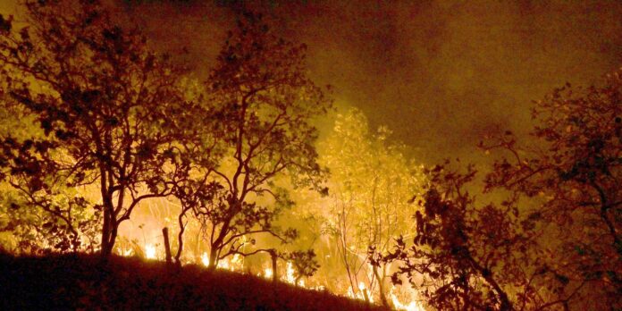 queimadas-persistem-na-amazonia;-cidades-do-pa-superam-mil-focos