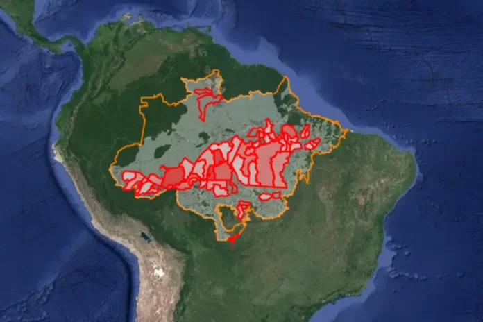 brasil-em-chamas-1:-focos-de-incendio-em-agosto-na-amazonia-atingem-maior-nivel-em-14-anos
