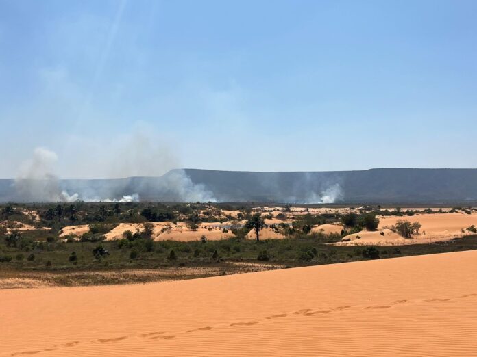 governo-do-tocantins-anuncia-que-vai-investir-r$-6-milhoes-para-combate-aos-incendios-florestais